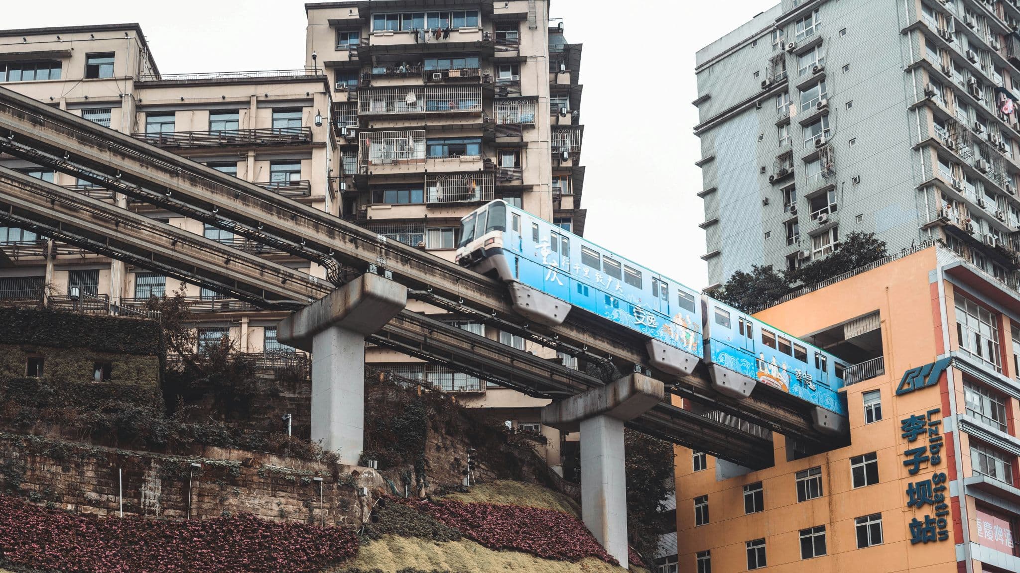 chongqing stock desktop 1